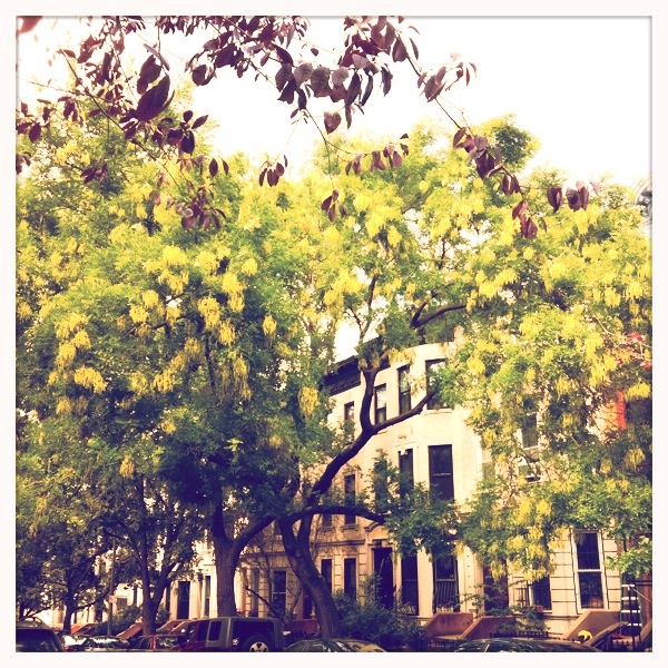 20111010-102713.jpg