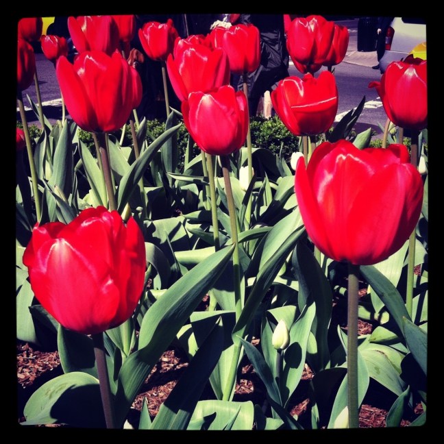20120404-143920.jpg