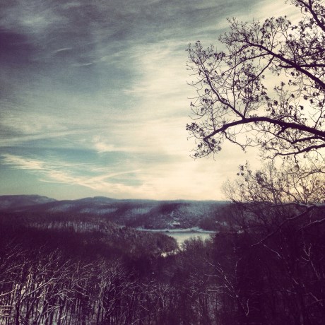 my backyard arkansas 